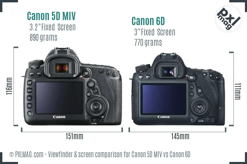 Canon 5D MIV vs Canon 6D Screen and Viewfinder comparison