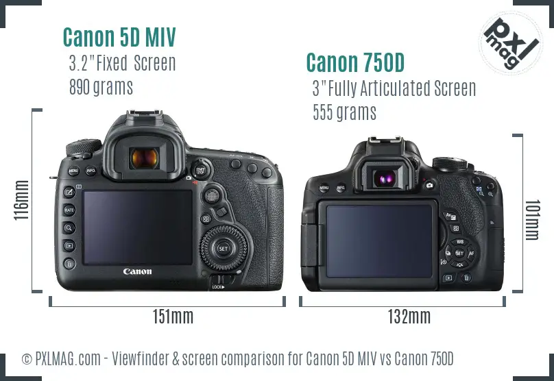 Canon 5D MIV vs Canon 750D Screen and Viewfinder comparison