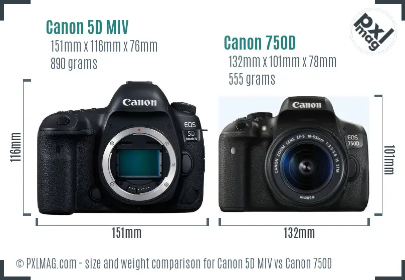 Canon 5D MIV vs Canon 750D size comparison