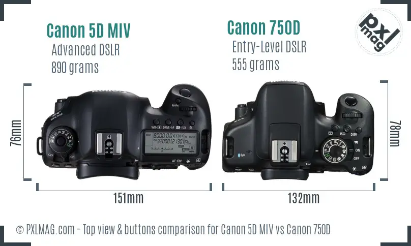 Canon 5D MIV vs Canon 750D top view buttons comparison