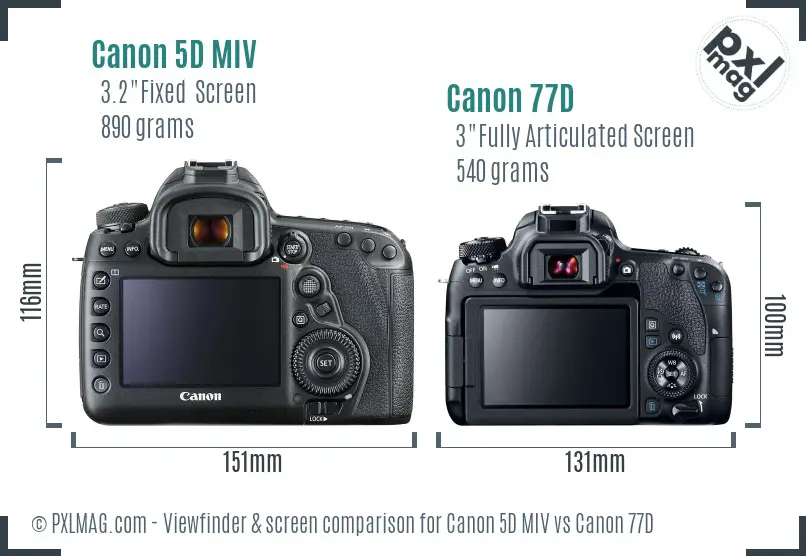 Canon 5D MIV vs Canon 77D Screen and Viewfinder comparison