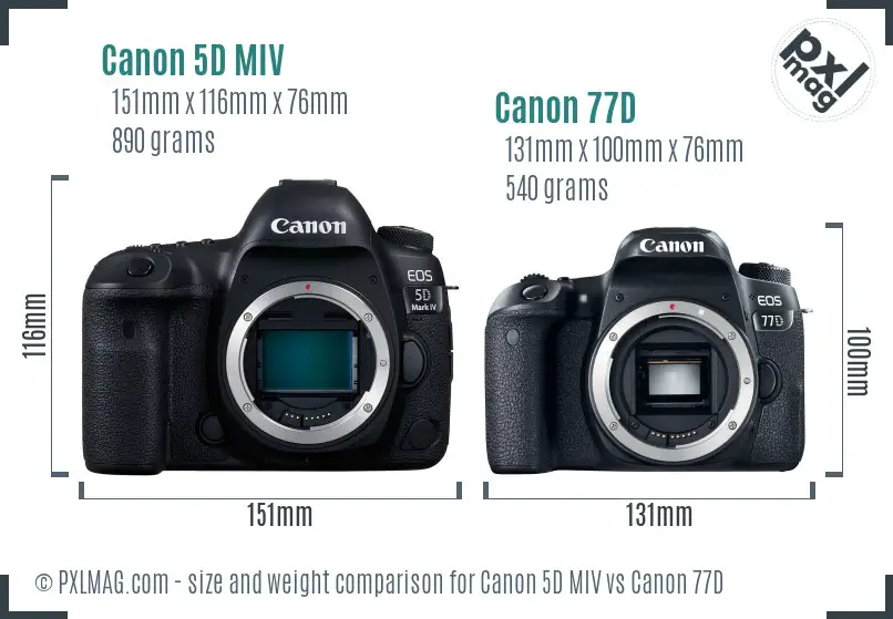 Canon 5D MIV vs Canon 77D size comparison