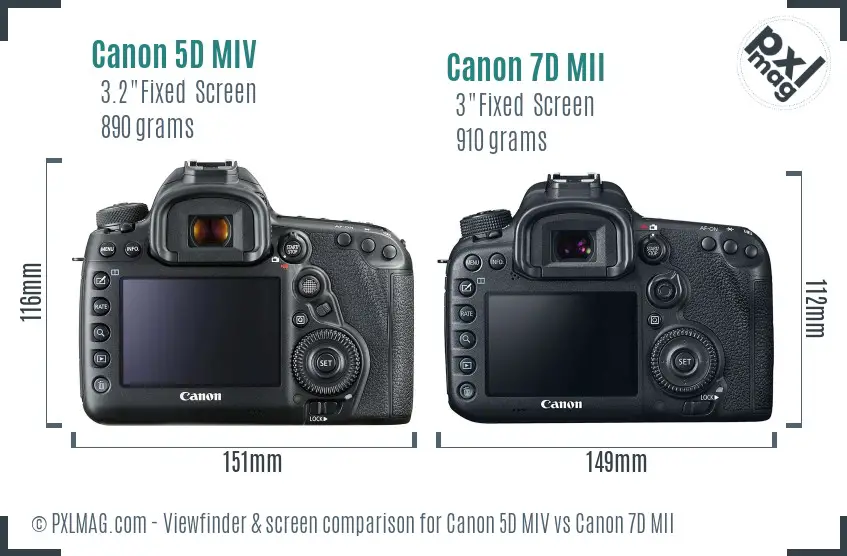 Canon 5D MIV vs Canon 7D MII Screen and Viewfinder comparison