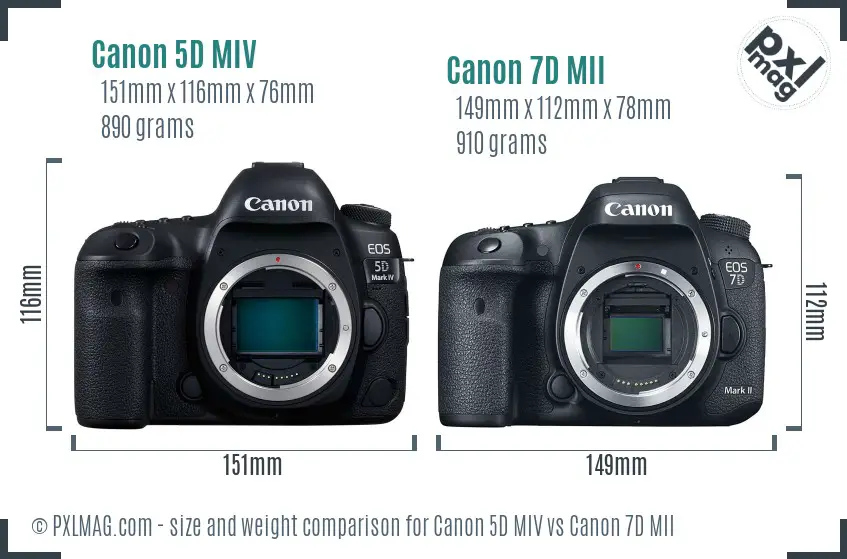 Canon 5D MIV vs Canon 7D MII size comparison