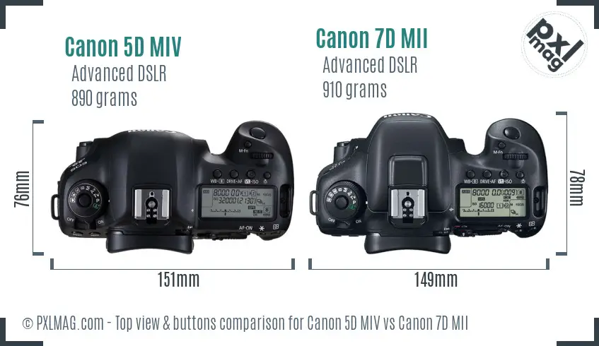 Canon 5D MIV vs Canon 7D MII top view buttons comparison