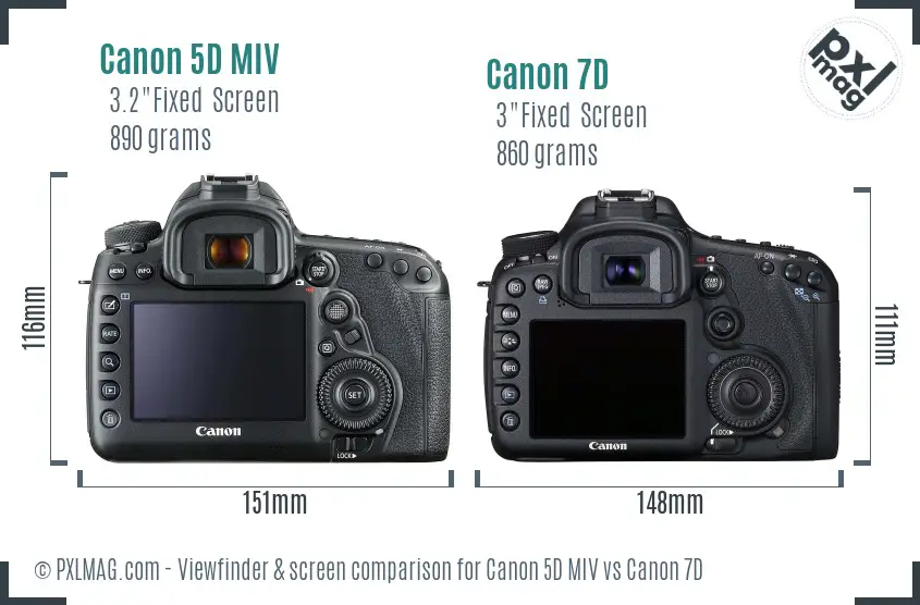 Canon 5D MIV vs Canon 7D Screen and Viewfinder comparison