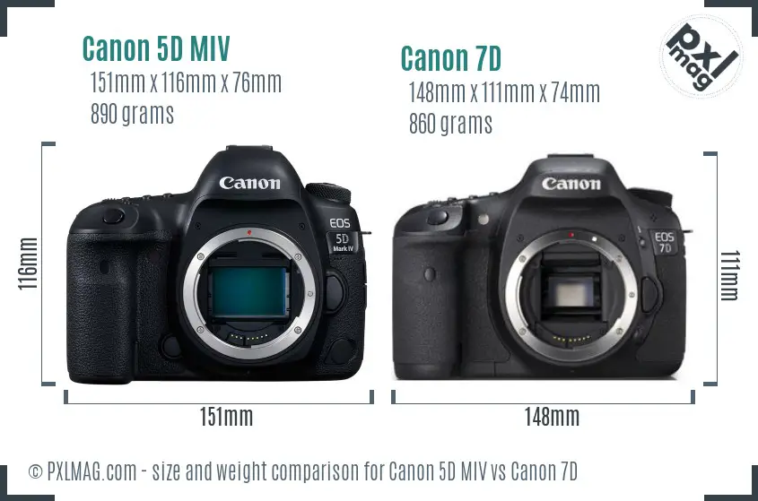 Canon 5D MIV vs Canon 7D size comparison