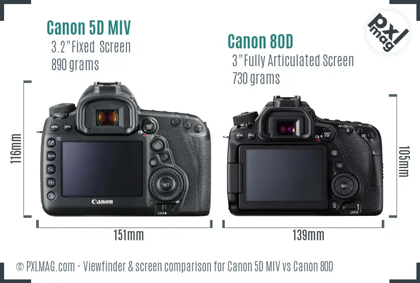 Canon 5D MIV vs Canon 80D Screen and Viewfinder comparison