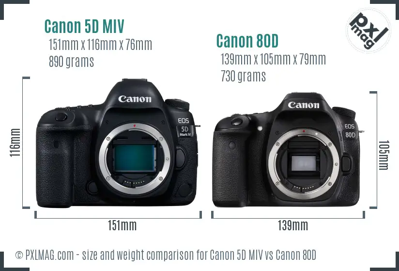 Canon 5D MIV vs Canon 80D size comparison