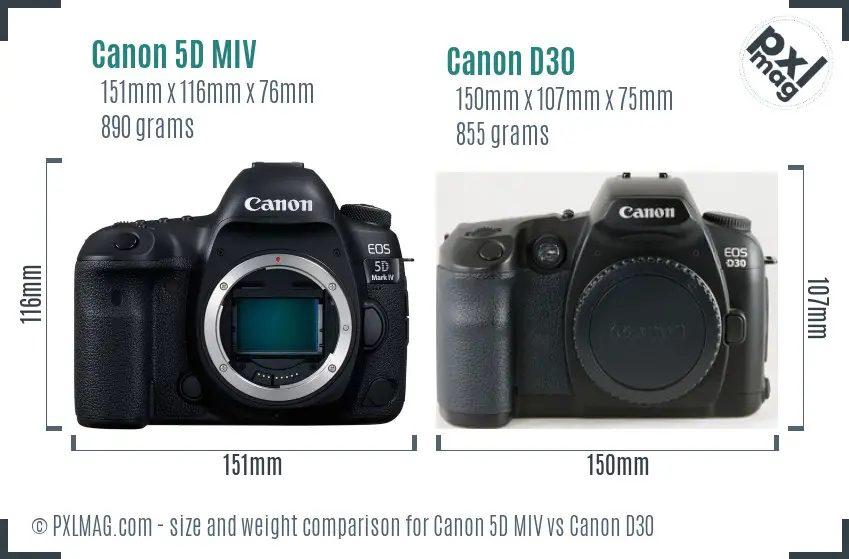 Canon 5D MIV vs Canon D30 size comparison