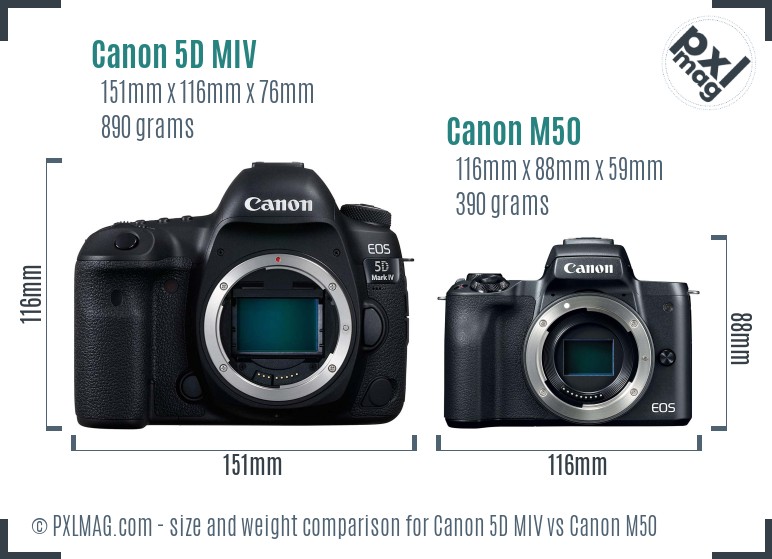 Canon 5D MIV vs Canon M50 size comparison Canon 5D MIV vs Canon M50 size comparison