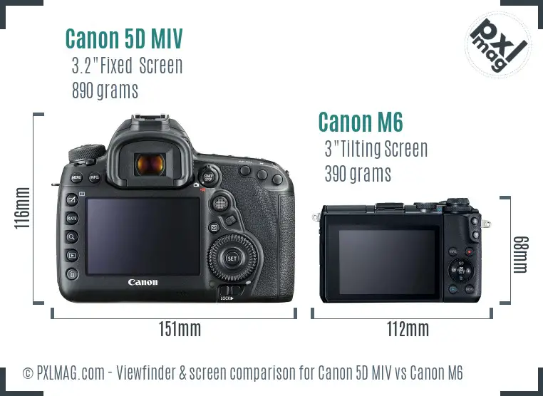 Canon 5D MIV vs Canon M6 Screen and Viewfinder comparison