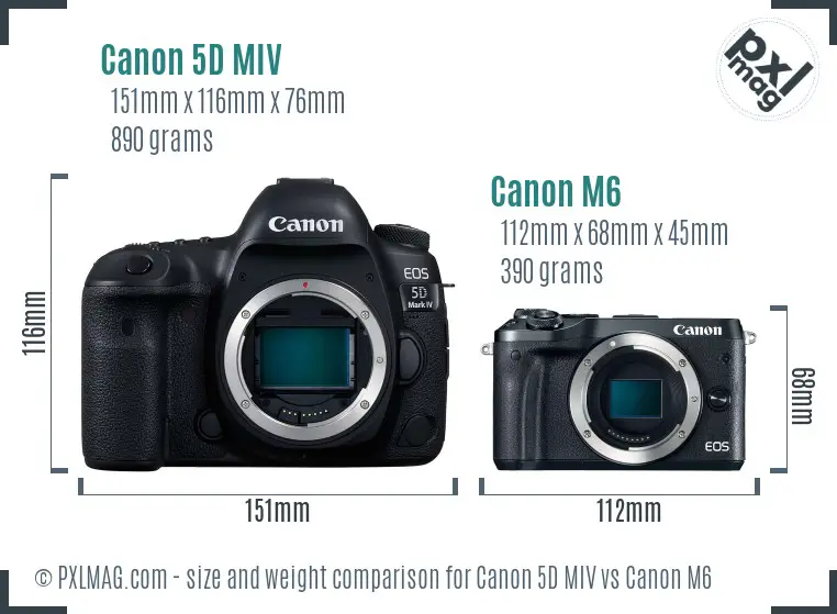 Canon 5D MIV vs Canon M6 size comparison