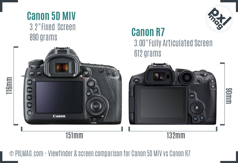 Canon 5D MIV vs Canon R7 Full Comparison - PXLMAG.com