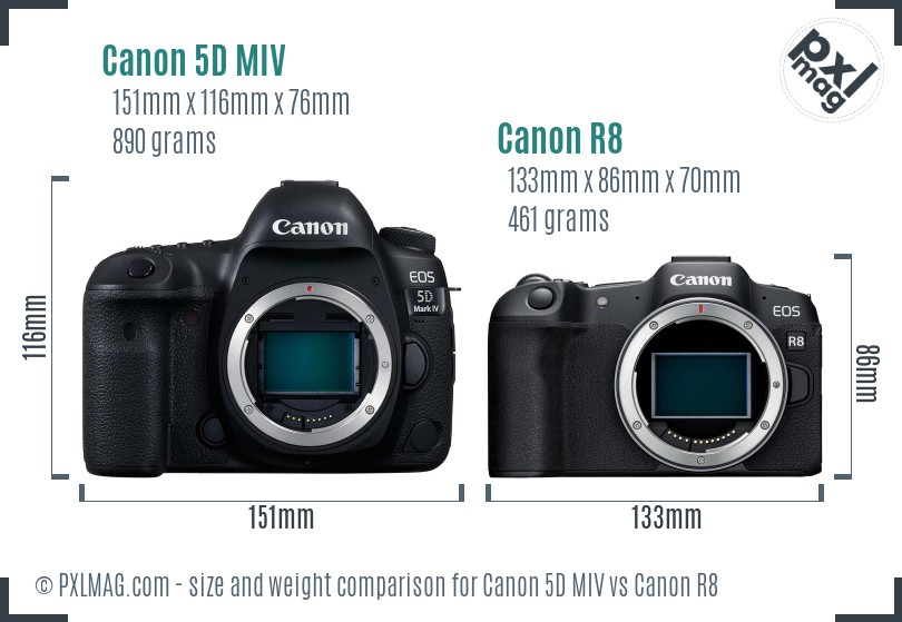 Canon 5D MIV vs Canon R8 size comparison