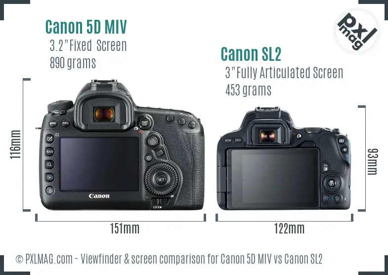 Canon 5D MIV vs Canon SL2 Screen and Viewfinder comparison