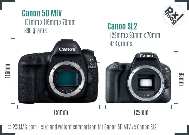 Canon 5D MIV vs Canon SL2 size comparison