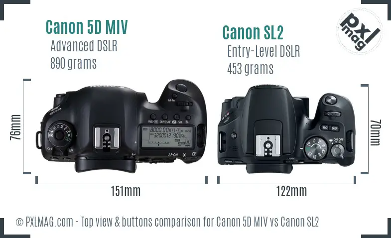 Canon 5D MIV vs Canon SL2 top view buttons comparison