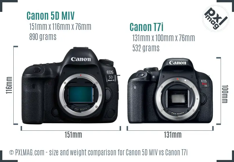 Canon 5D MIV vs Canon T7i size comparison