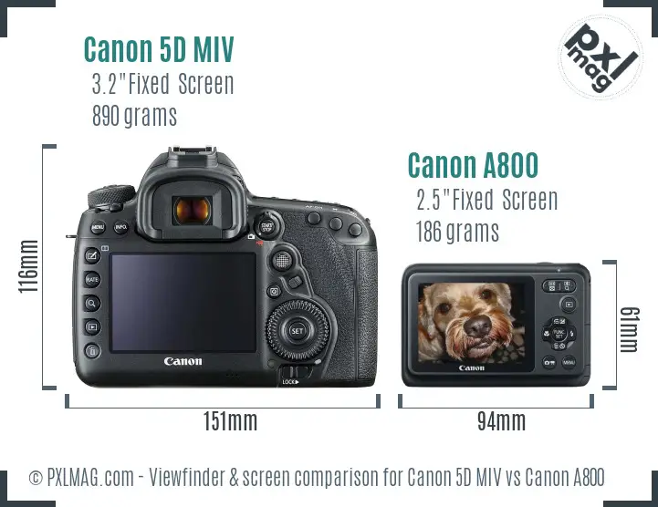 Canon 5D MIV vs Canon A800 Screen and Viewfinder comparison