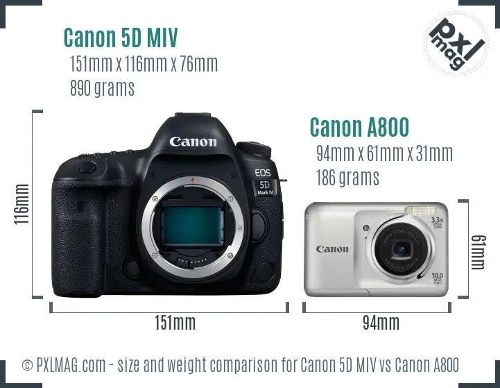 Canon 5D MIV vs Canon A800 size comparison