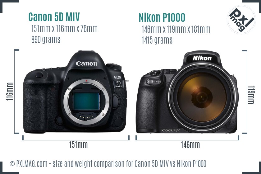 Canon 5D MIV vs Nikon P1000 size comparison
