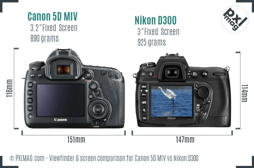 Canon 5D MIV vs Nikon D300 Screen and Viewfinder comparison