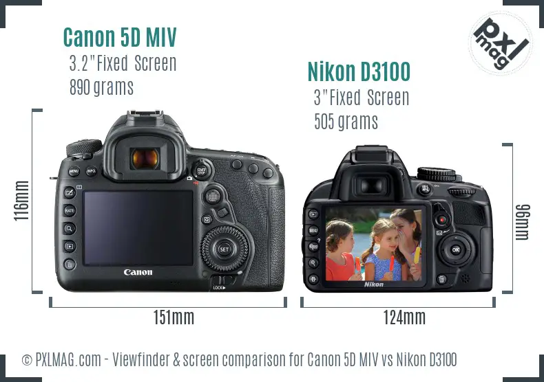 Canon 5D MIV vs Nikon D3100 Screen and Viewfinder comparison