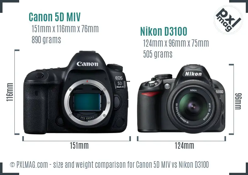 Canon 5D MIV vs Nikon D3100 size comparison