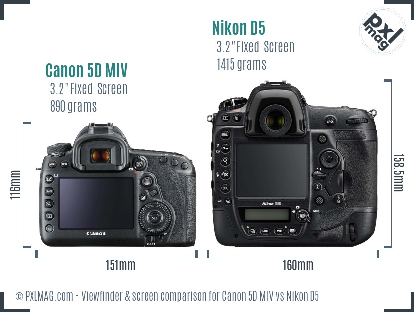 Canon 5D MIV vs Nikon D5 Screen and Viewfinder comparison