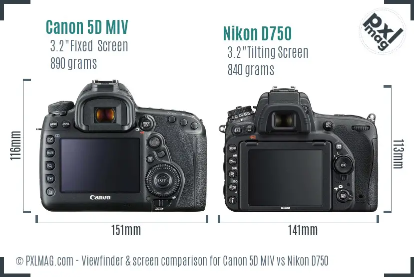 Canon 5D MIV vs Nikon D750 Screen and Viewfinder comparison