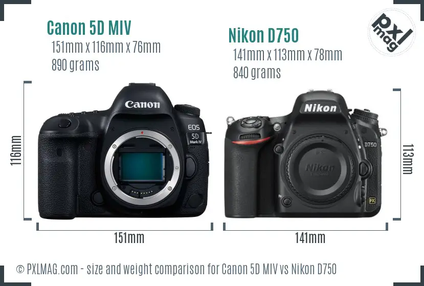 Canon 5D MIV vs Nikon D750 size comparison