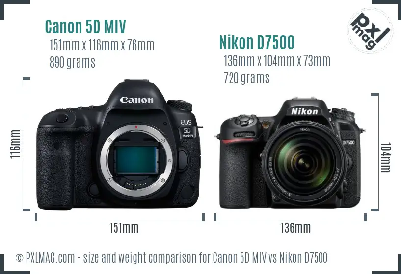 Canon 5D MIV vs Nikon D7500 size comparison