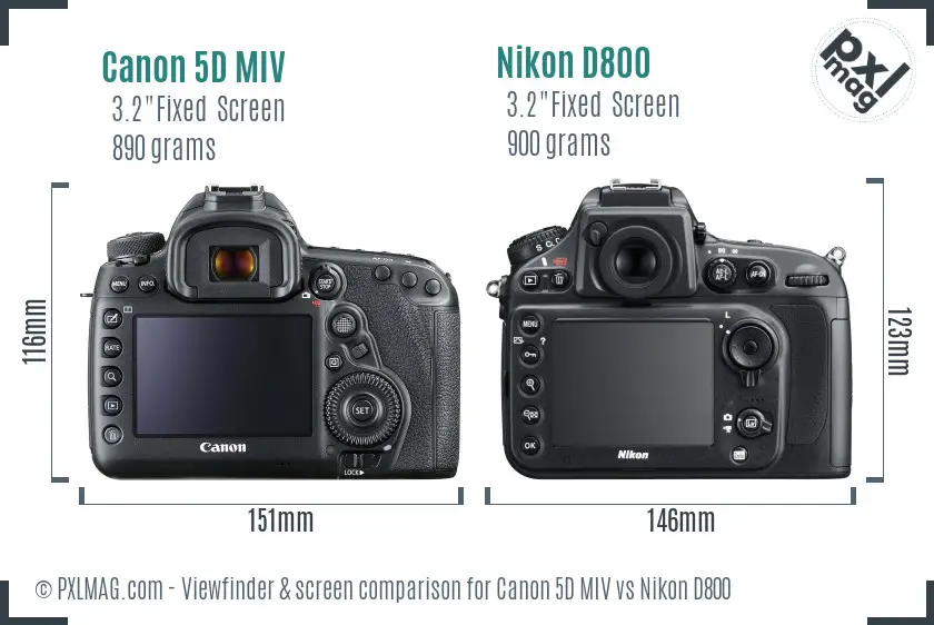 Canon 5D MIV vs Nikon D800 Screen and Viewfinder comparison