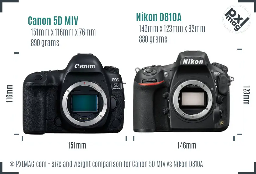 Canon 5D MIV vs Nikon D810A size comparison