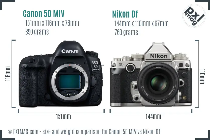 Canon 5D MIV vs Nikon Df size comparison