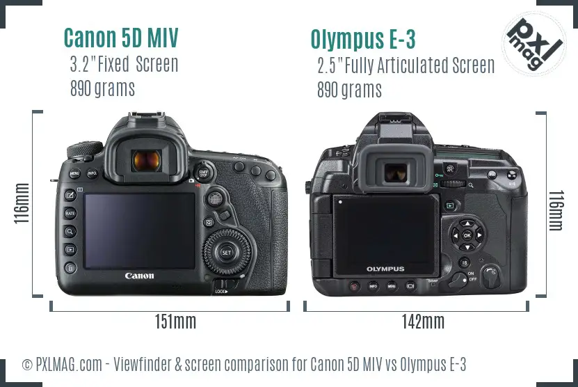 Canon 5D MIV vs Olympus E-3 Screen and Viewfinder comparison