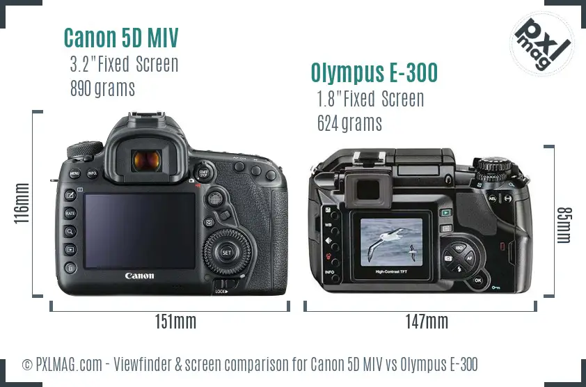 Canon 5D MIV vs Olympus E-300 Screen and Viewfinder comparison