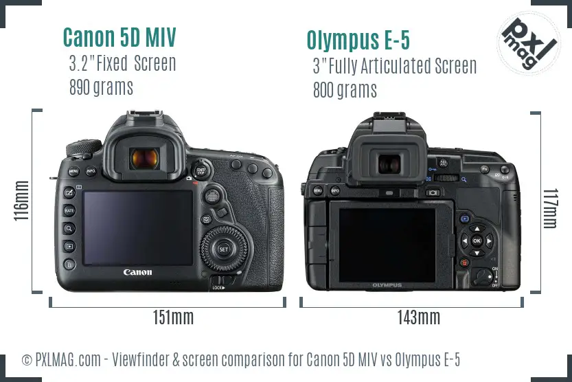 Canon 5D MIV vs Olympus E-5 Screen and Viewfinder comparison