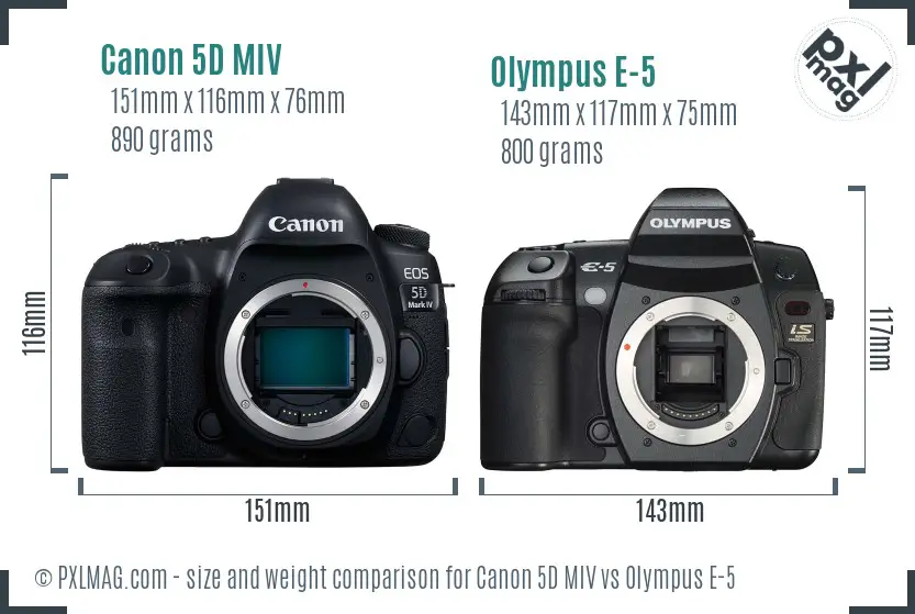 Canon 5D MIV vs Olympus E-5 size comparison