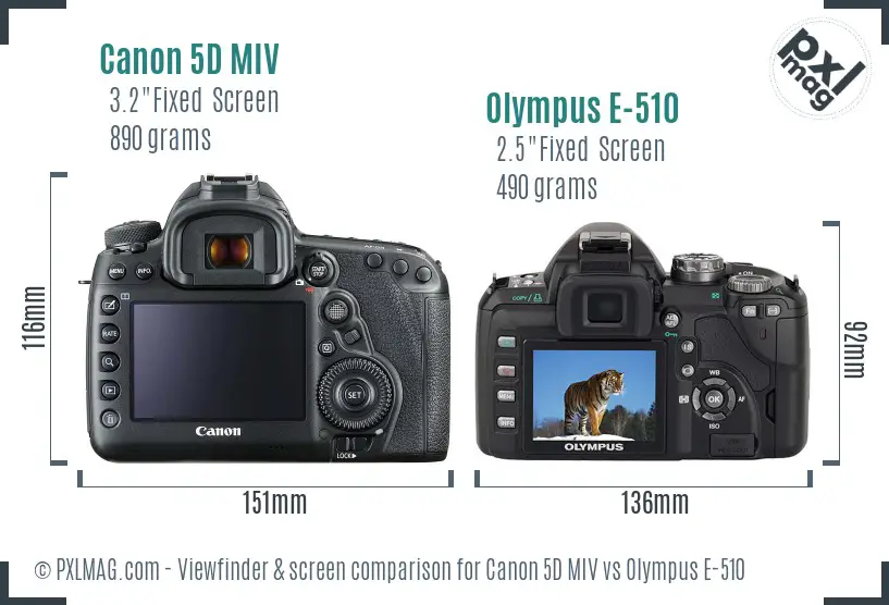 Canon 5D MIV vs Olympus E-510 Screen and Viewfinder comparison