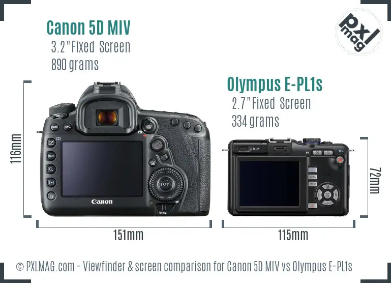 Canon 5D MIV vs Olympus E-PL1s Screen and Viewfinder comparison