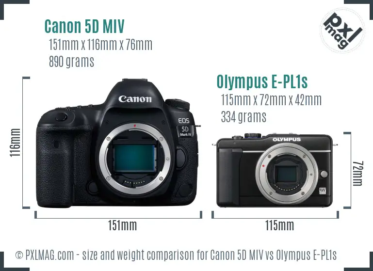 Canon 5D MIV vs Olympus E-PL1s size comparison