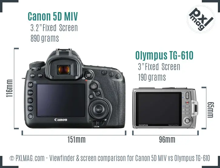 Canon 5D MIV vs Olympus TG-610 Screen and Viewfinder comparison