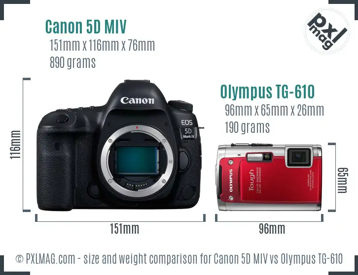 Canon 5D MIV vs Olympus TG-610 size comparison