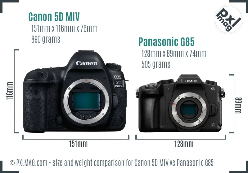 Canon 5D MIV vs Panasonic G85 size comparison
