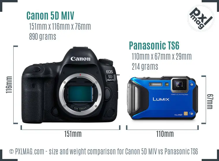 Canon 5D MIV vs Panasonic TS6 size comparison