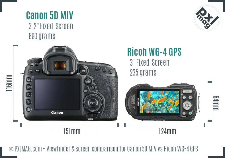 Canon 5D MIV vs Ricoh WG-4 GPS Screen and Viewfinder comparison
