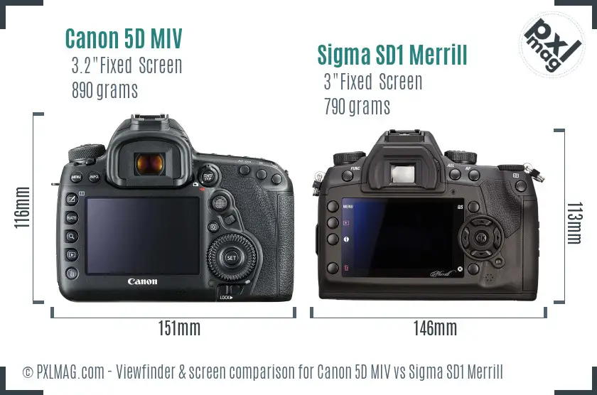 Canon 5D MIV vs Sigma SD1 Merrill Screen and Viewfinder comparison