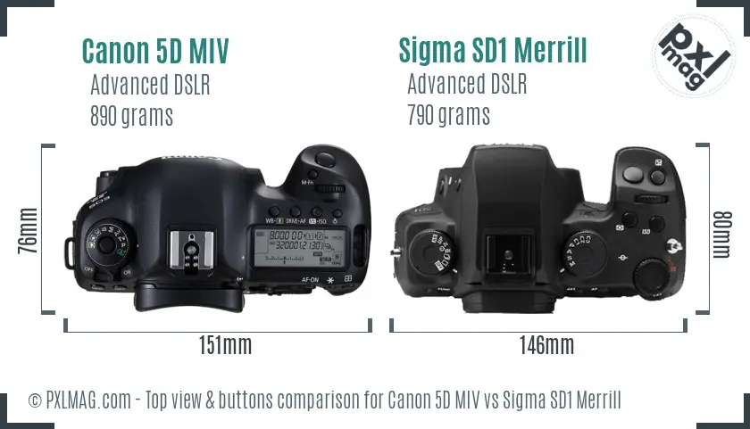 Canon 5D MIV vs Sigma SD1 Merrill top view buttons comparison